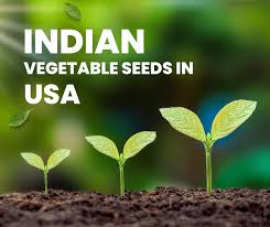 indian vegetable seeds in america