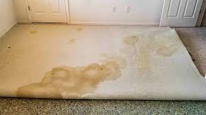 pearland texas carpet cleaning