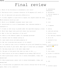 final review worksheet wordmint