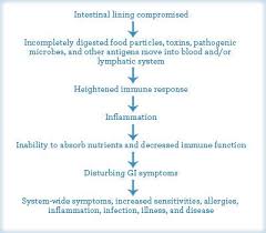Celiac Disease Flow Chart Leaky Gut Syndrome Leaky Gut