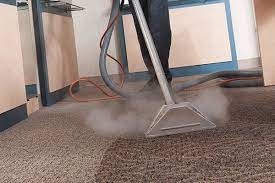 carpet steam cleaner service