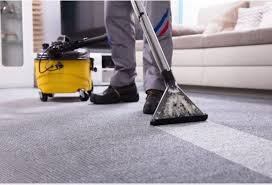 best carpet cleaner for home and office