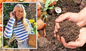 Gardening Best Peat Free Compost