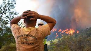 Marmaris'teki orman yangını 4. gününde: 4 bin 813 futbol sahası  büyüklüğünde alan yandı; alevler yerleşim