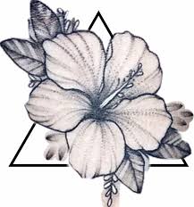 They are considered important in many cultures of the pacific and are associated with the ideas of life, honor, courage, wealth, success, gentleness and immorality. Pinterest Pashtonfruit Hibiscus Flower Tattoos Hawaiian Flower Tattoos Hibiscus Tattoo