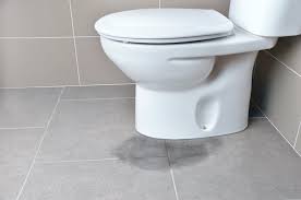 6 Steps To Fix A Toilet Leaking At The