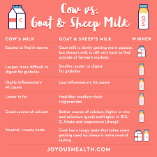 Cow Vs Goat And Sheeps Milk Which Is Better Joyous Health