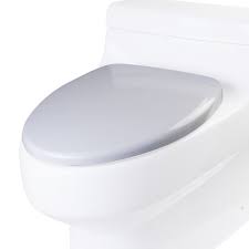 Soft Closing Toilet Seat For Tb352