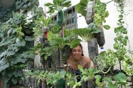 Membuat kebun sayur sendiri rasanya menjadi hal yang tepat. Rumah Sempit Tenang Ini 17 Ide Kreatif Buat Kebun Sayur Di Halaman