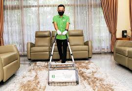 de hygienique carpet cleaning