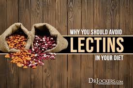 Why You Should Avoid Lectins In Your Diet Drjockers Com