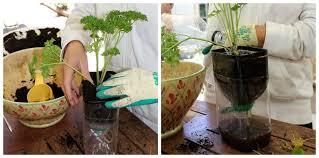 Make It Self Watering Herb Garden