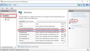 uploading large files to iis net