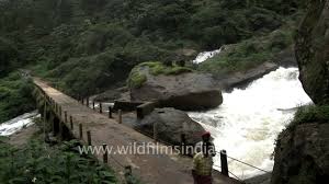Image result for attukal waterfalls