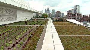 Largest Rooftop Garden Chicago