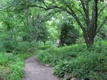 The North Carolina Arboretum de Asheville | Horario, Mapa y entradas 3