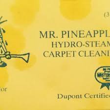 hydro steam carpet cleaning