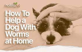 home remes for worms top tips every