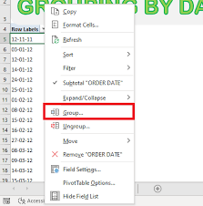 an excel pivot table