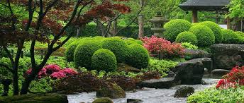 Weitere ideen zu bonsai, bonsai baum, bonsai pflanzen. Ubersicht Japanische Garten In Deutschland Japandigest