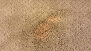 bleach stains on carpet spot dye repair