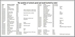 Bigfoot Field Guide Animal Eyeshine