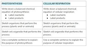 Photosynthesis Label Reactants Label