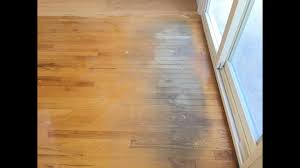sanding water damage on hardwood floors