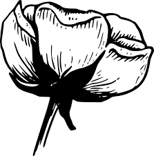 flowers clip art black and white free
