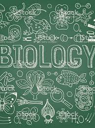 biology background hd wallpapers pxfuel