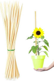 25 pack 20 inch bamboo plant stakes