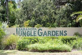 sarasota jungle gardens the areas only