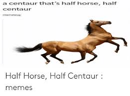 A Centaur Thats Half Horse Half Centaur Internetslug Half