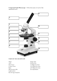 Compound Light Microscope Parts Colona Rsd7 Org