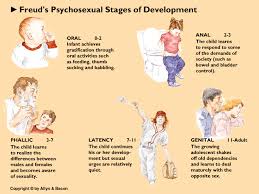 Freuds Psychosexual Stages Of Development Social Work