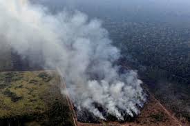 Amazon Rainforest Fires Heres Whats Really Happening
