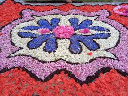 flower carpets spycimierz portal