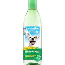 dental health solution for dogs