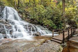 smoky mountain trails for an easy hike