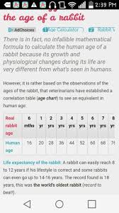 Age Of Rabbits Compared With Humans Wonderland Amino