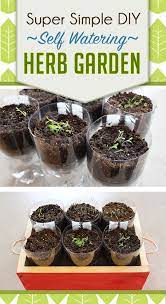 Super Simple Diy Self Watering Herb Garden