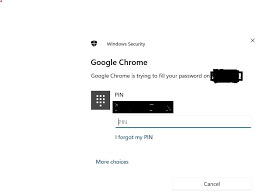 google chrome is trying to fill your