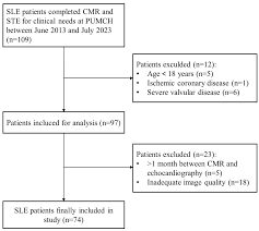 patients with systemic lupus erythematosus