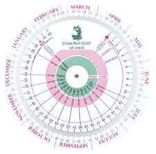 Symbolic Calendar Chart Pregnancy Due Date Calculator Chart