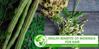 benefits of moringa for hair growth