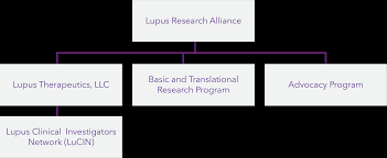 Organizational Structure Lupus Research