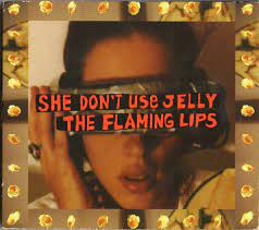 she don t use jelly 1994 digipak cd