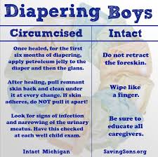 Dipering Boys Care For Circumcised And Intact