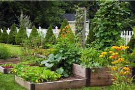 Vegetable Garden Microclimates Brown