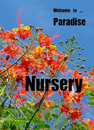 paradise nursery llc